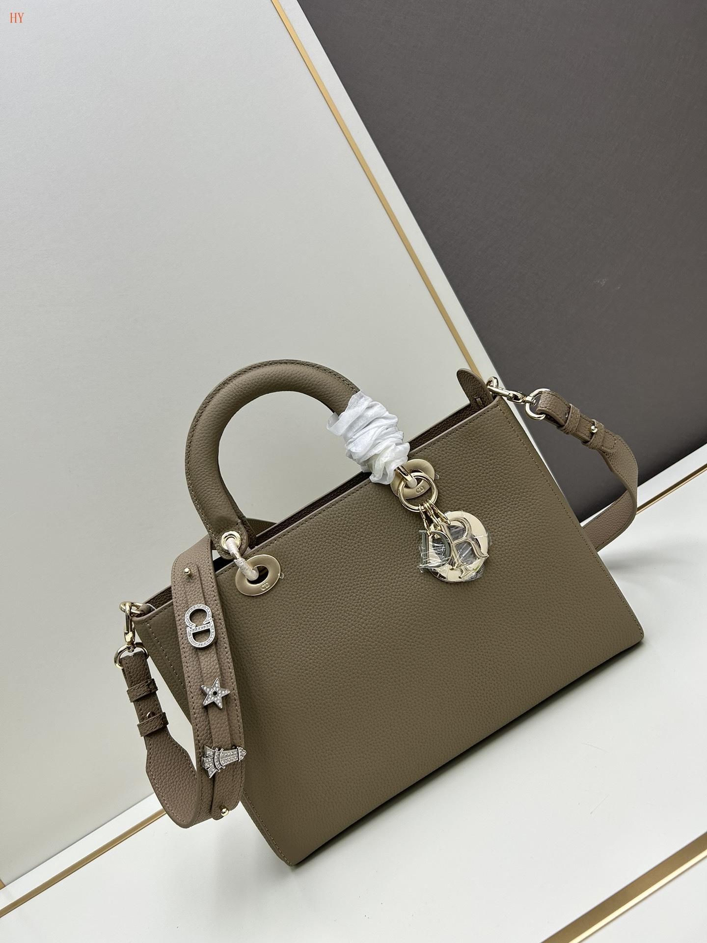 dior 30/26 handbag in brown